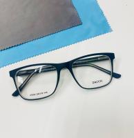 Оправа мужская DACCHI D37605 54 С2