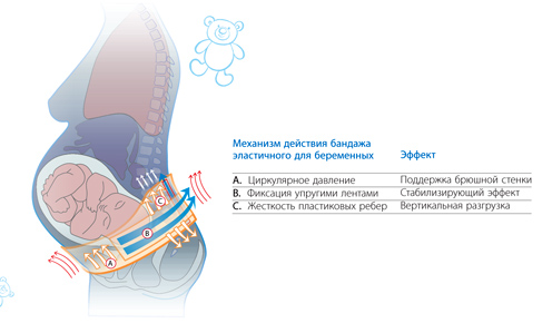 Бандаж эластичный для беременных Польза (0601)